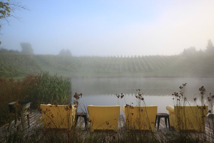 Farmhouse on 500 acres, 3 ponds, with vineyard.