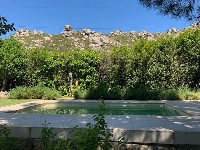 A serene pool is surrounded by lush greenery, with natural rock formations rising in the background. The clear waters reflect the blue sky, offering a peaceful outdoor space. Tall bushes and plants create a private atmosphere, enhancing the tranquil setting.