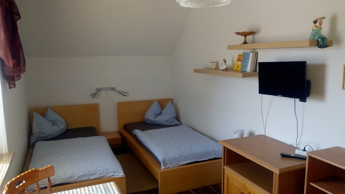 The room features two separate beds with blue pillows, flanked by a small shelf displaying decorative items. A wooden table and chairs are present, along with a TV mounted on the wall. Natural light enters through the window dressed with light curtains.