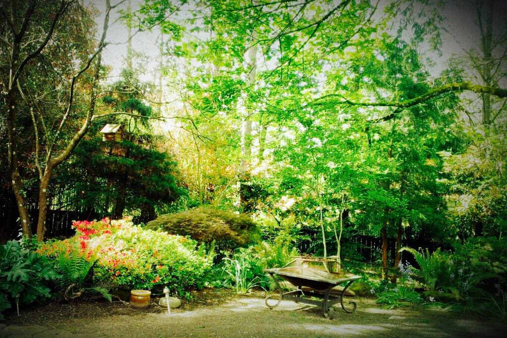 Tranquil back yard