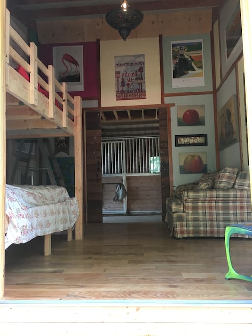Bunk Beds & Pull Out Sofa