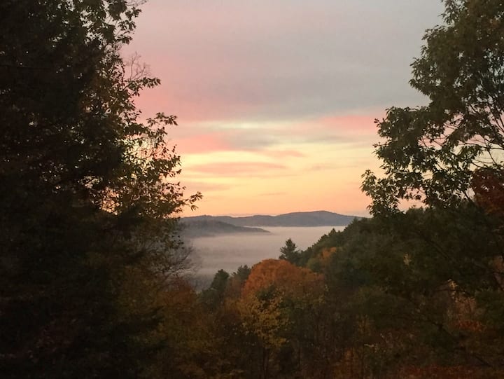 Cozy Bow House Perched in Trees w/ Hot Tub & View Houses for Rent in