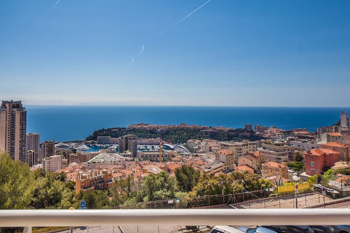 monaco yacht airbnb