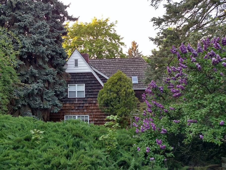 A spacious garden away from the street is the perfect place to relax.