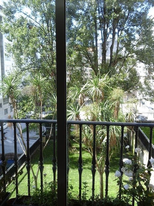 Vistas a plaza arbolada y tranquila