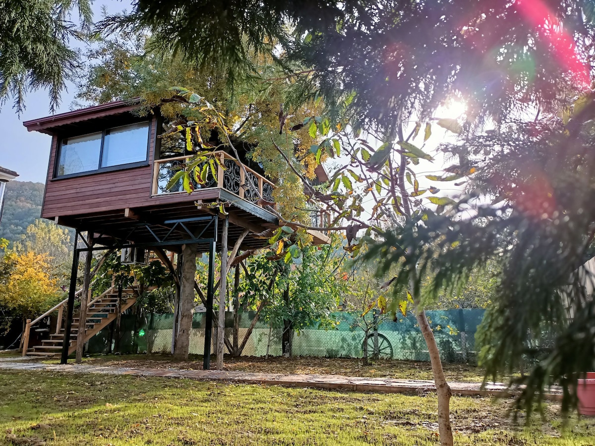 A modern treehouse is seen elevated on stilts, surrounded by lush greenery. The structure features large windows, providing views of the garden. A staircase leads to the entrance, and sunlight filters through the surrounding trees, creating a serene atmosphere.
