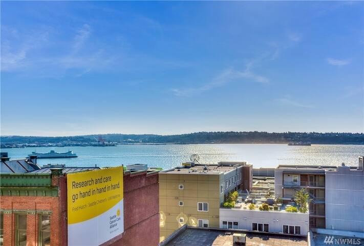 Cozy Belltown Condo with amazing Elliott Bay Views gallery image 5