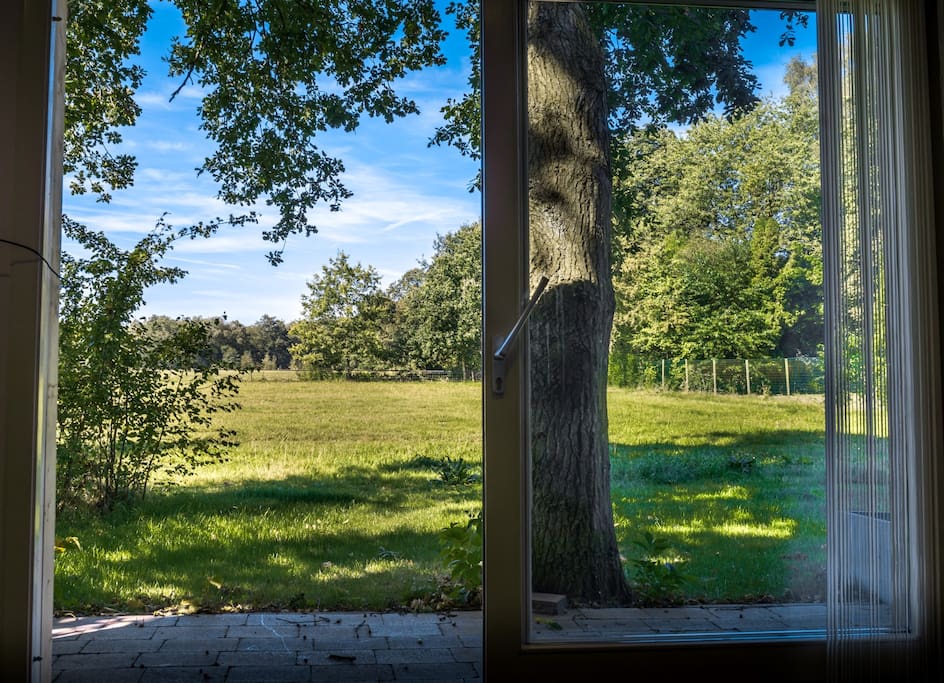 Uitzicht vanuit woonkamer