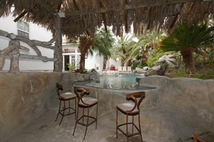 Private pool with grotto and tiki hut. gallery image 5
