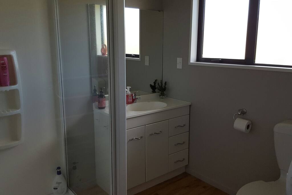 Master bedroom ensuite.