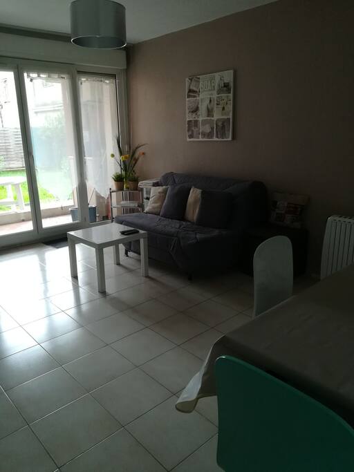 le salon donnant sur le jardin