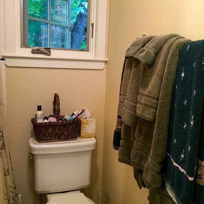 Bath toilet