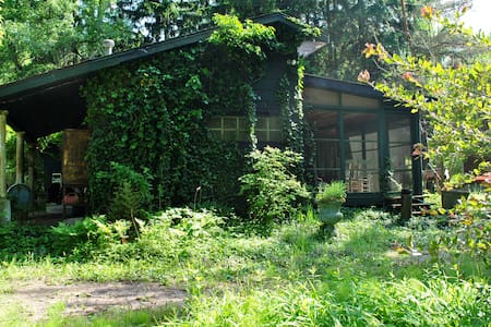 Floyd's  Cottage in Lakeside, Michi
