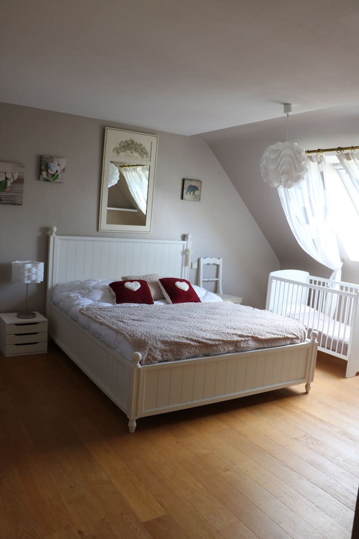 Shëtitje në dimër