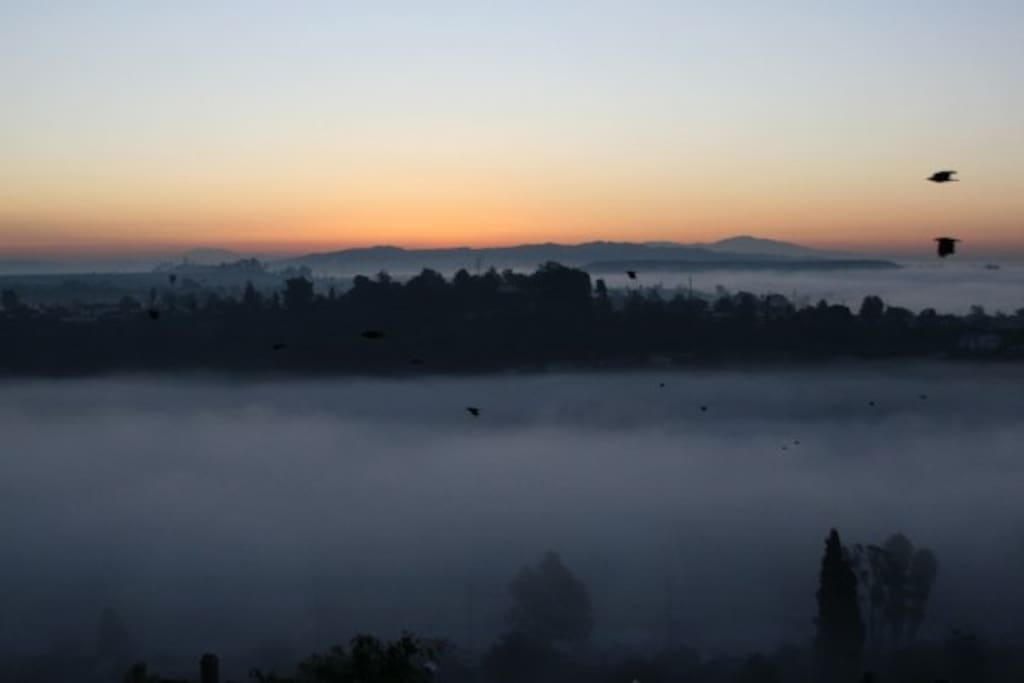Enjoy sunrise from the home.