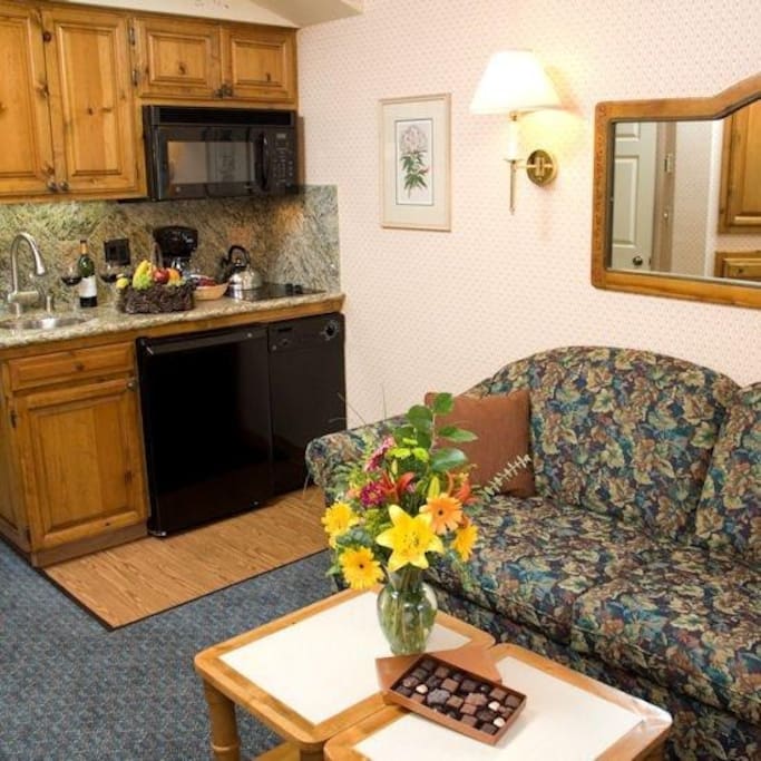 Kitchenette, pull out sofa for two
