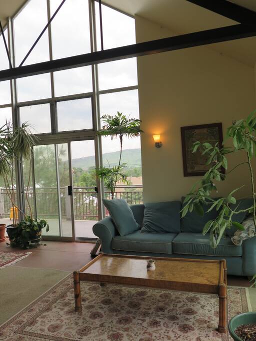 Ample light in the great room with vaulted ceiling.