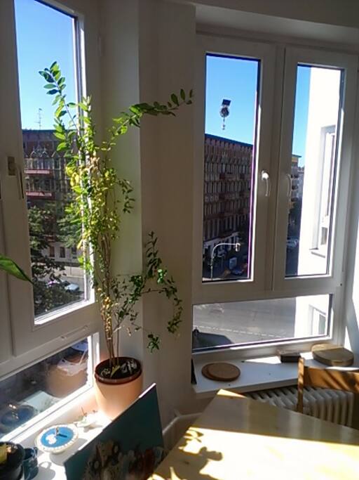 view from the kitchen (west)