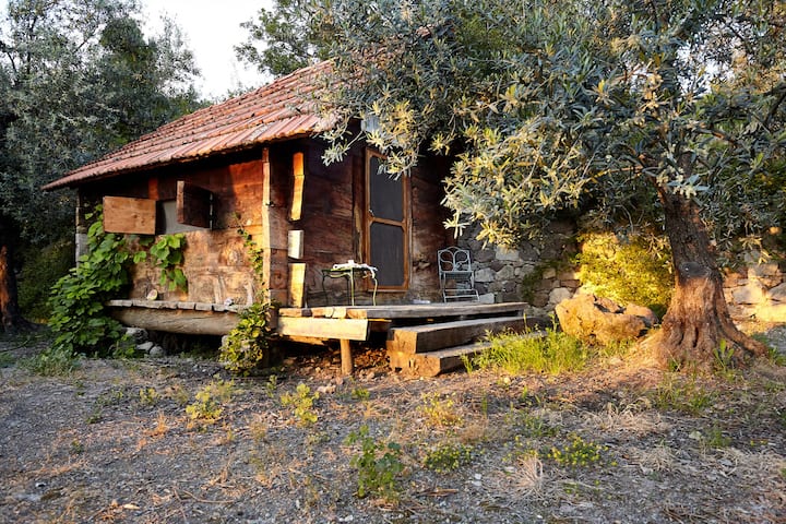 denizkoy vacation rentals homes izmir turkey airbnb
