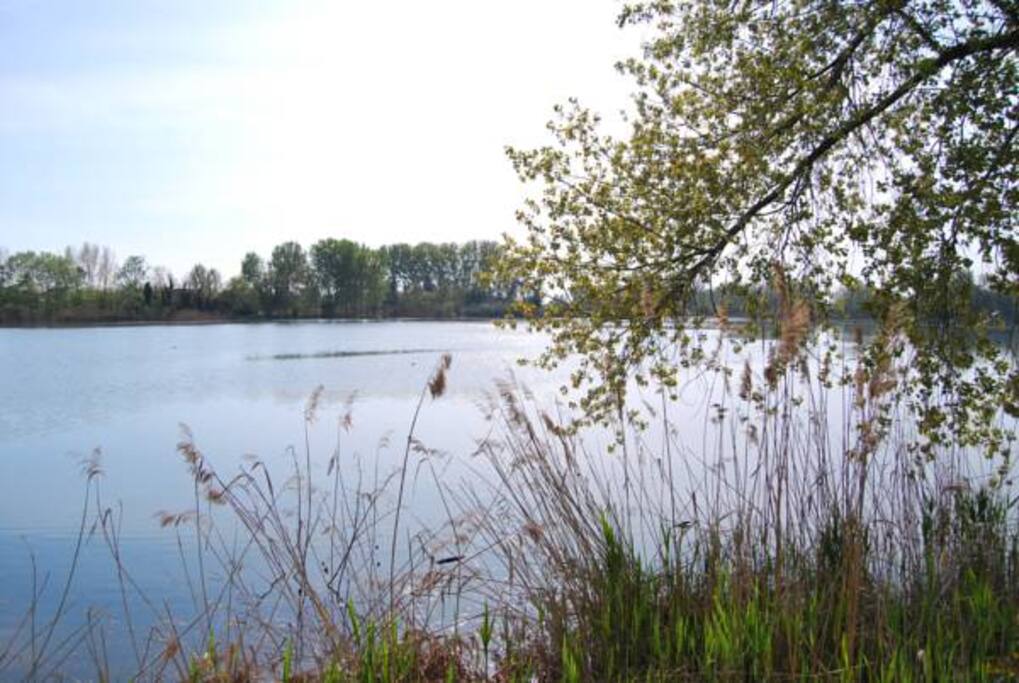 Oasi fiume Sile