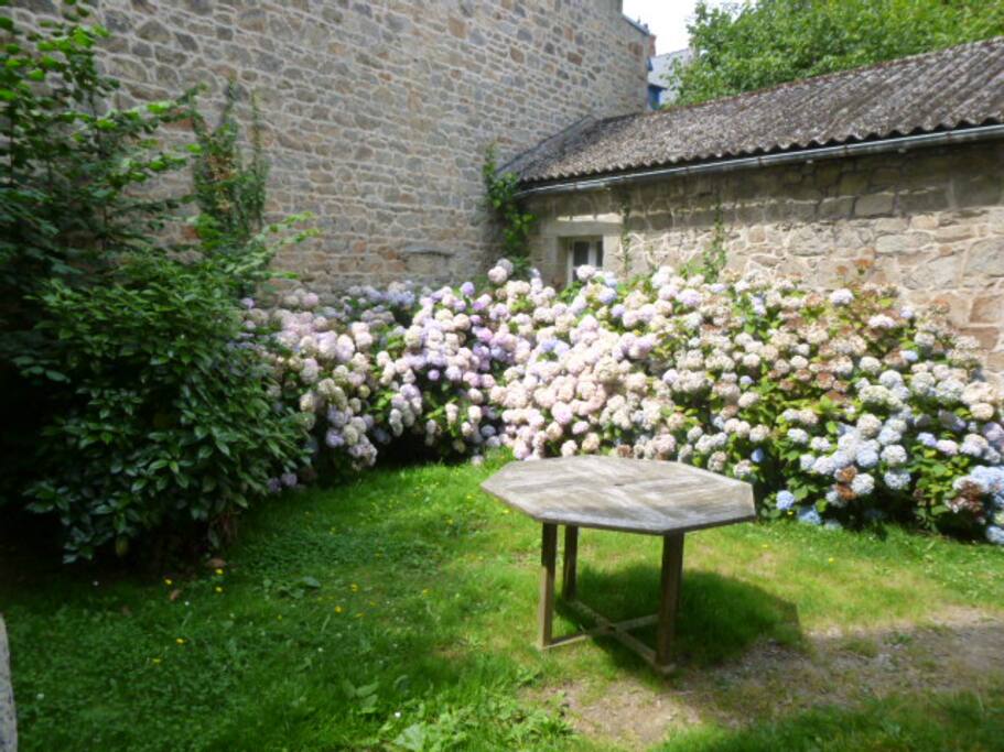 jardin
