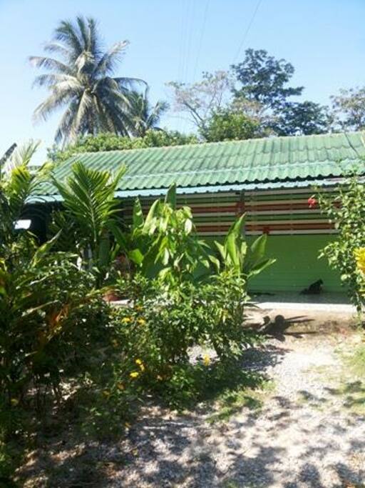 Accommodation is natural.