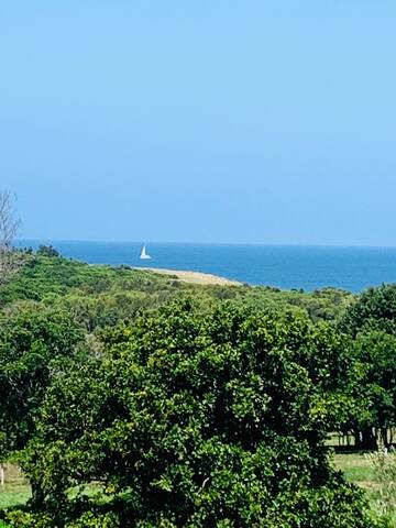 Stylish Modern House with Ocean & Farmland Views gallery image 3