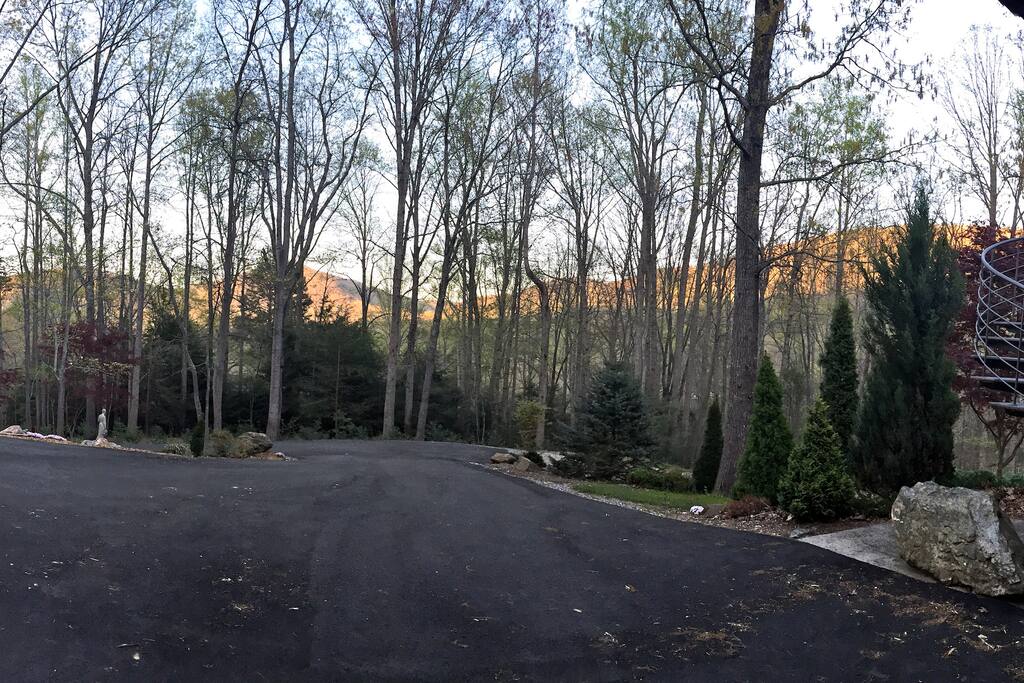 View from the front door, overlooking the driveway