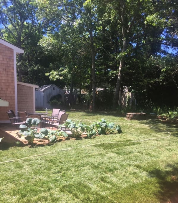 Private Backyard With Patio and Firepit