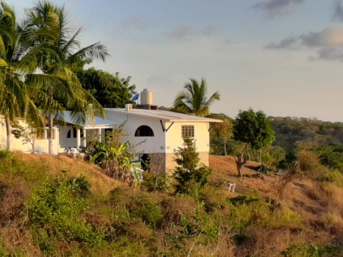 A white villa is nestled on a hillside, surrounded by lush greenery and palm trees. The structure features a spacious porch and large windows that reflect the warm glow of early evening light, enhancing the serene natural setting.