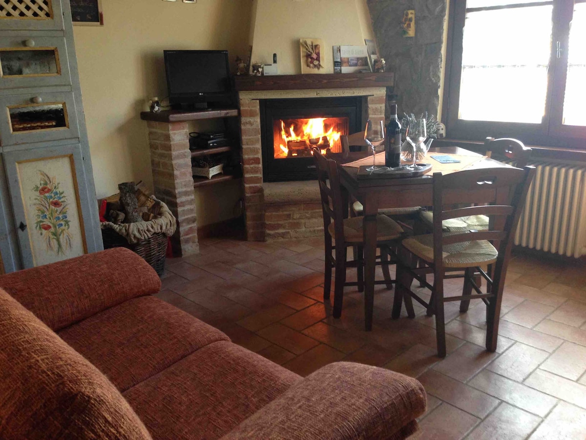 Popular Airbnb listing: L'Olivo - detached villa with swimming pool in Rapolano Terme
