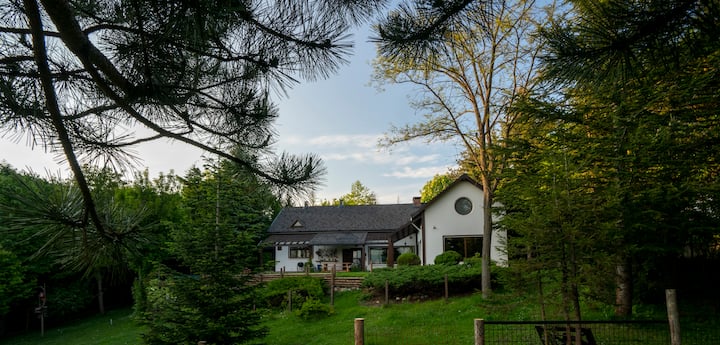 Cottage in a Wonderland of Nature / Bolu