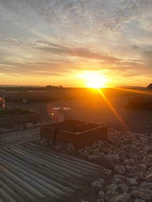 Sunrise From the Back Porch