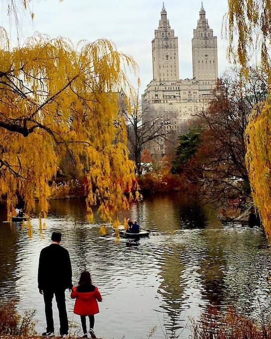 The Lake in beautiful Central Park. One of the many things to see and do in the park!
Photo by @newyorkcitykopp on Instagram
