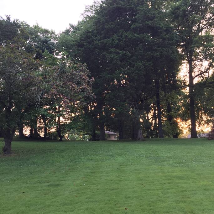 Looking toward the back of the property, you will see deer, turkeys, rabbits, squirrels and a very shy groundhog.