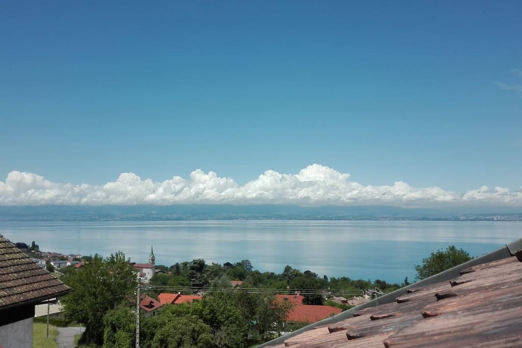 Magnifique vue sur le lac de Genève