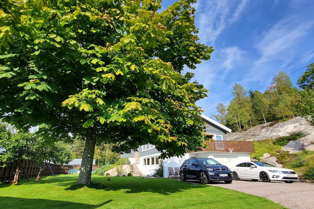 A large tree provides shade in the front yard, complemented by a well-maintained lawn. Two cars are parked adjacent to the home, showcasing the property's accessibility. The background features a gently sloping area, adorned with greenery, under a clear blue sky.