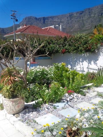 Sunny artist home in perfect location! gallery image 3