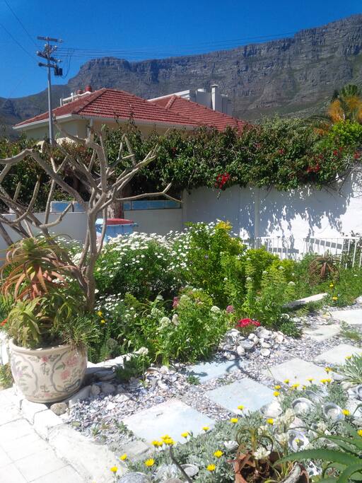 Beautiful garden with unique artistic touches, overlooked by the famous Table Mountain.