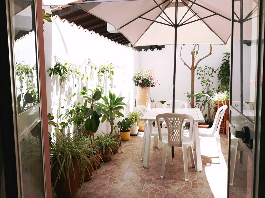 Patio / Giardino