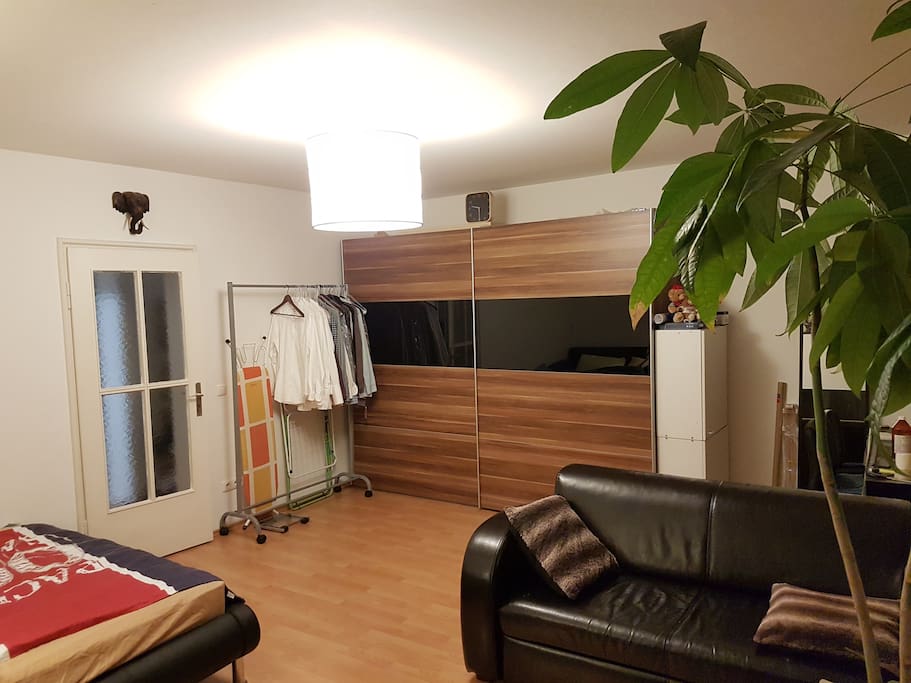 Huge closet (you can use one third)