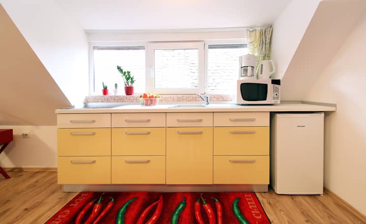 Lower Town Apartment in Sibiu
