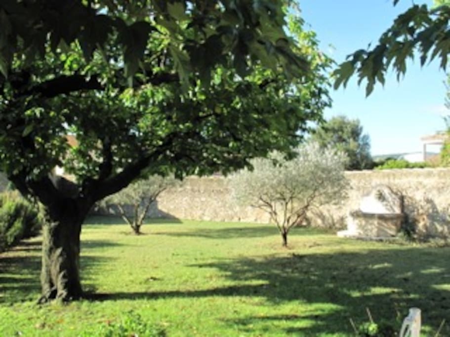 Top Garden and Fountain
