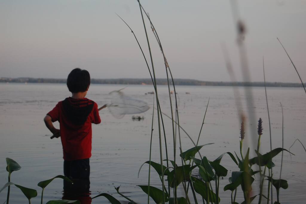 Enjoy the lake