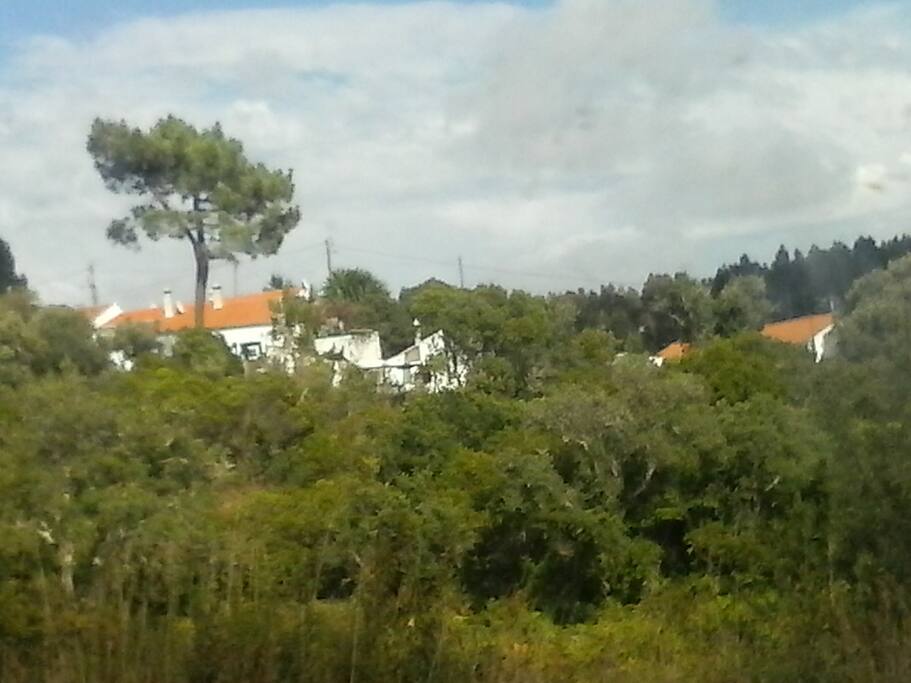 monte visto da estrada nacional 120