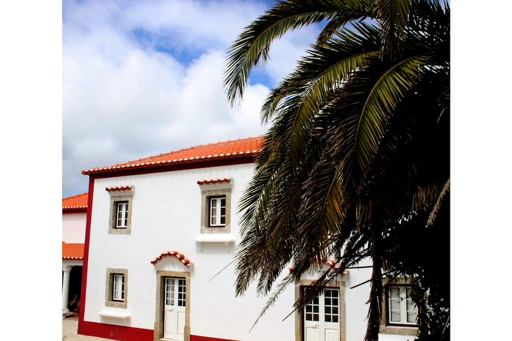 Fully recovered centenary house with palm trees
