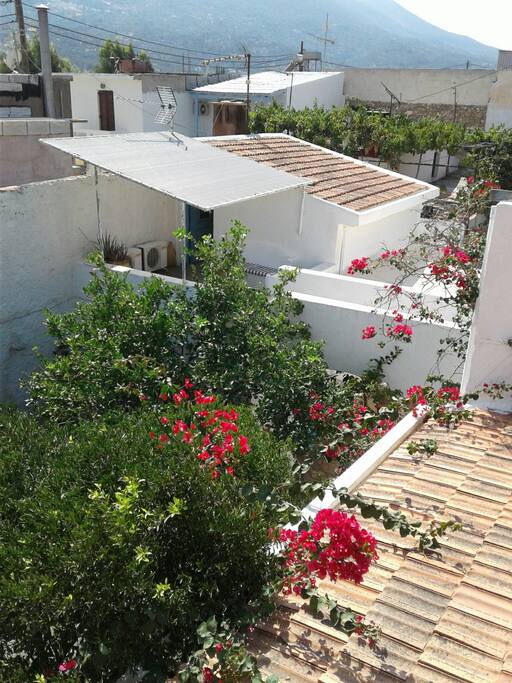 The red room and its private patio. View from the terrace