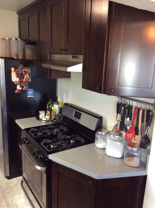 Kitchen gas stove