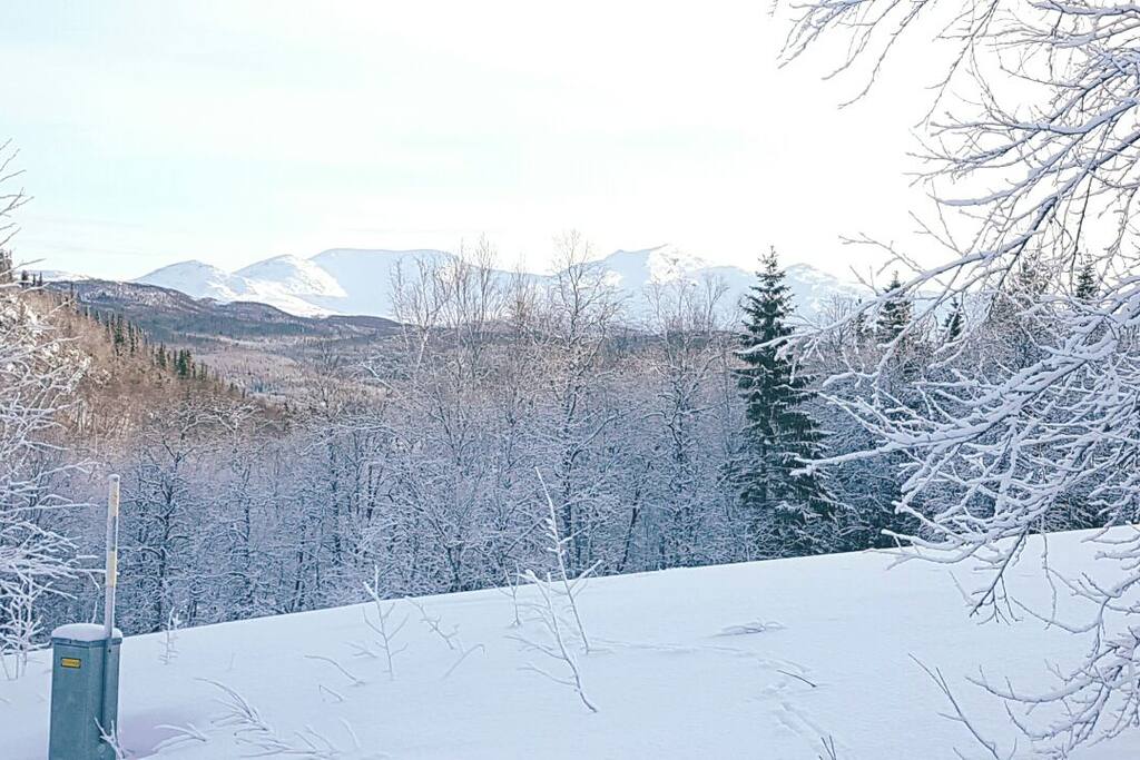 View from lighted parking for two cars and a motor heater cable