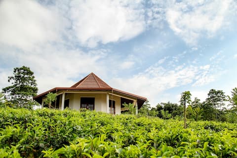 The Octagon Retreat and Tea Garden near Kandy.
